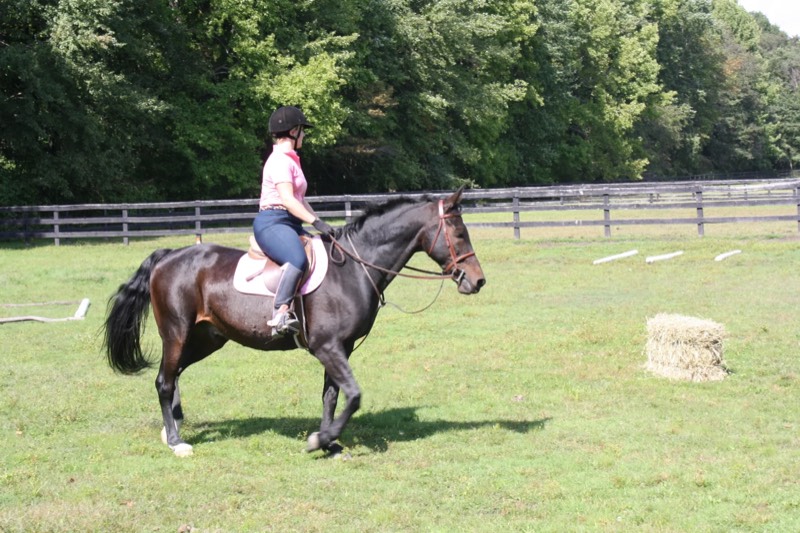 Around the farm at Nimble Creek Farm, Eastampton NJ