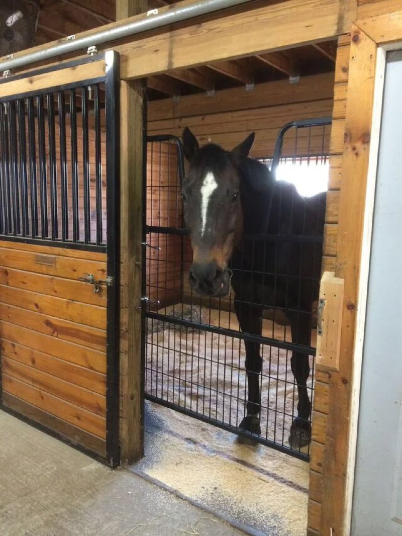 The riding arena at Nimble Creek Farm