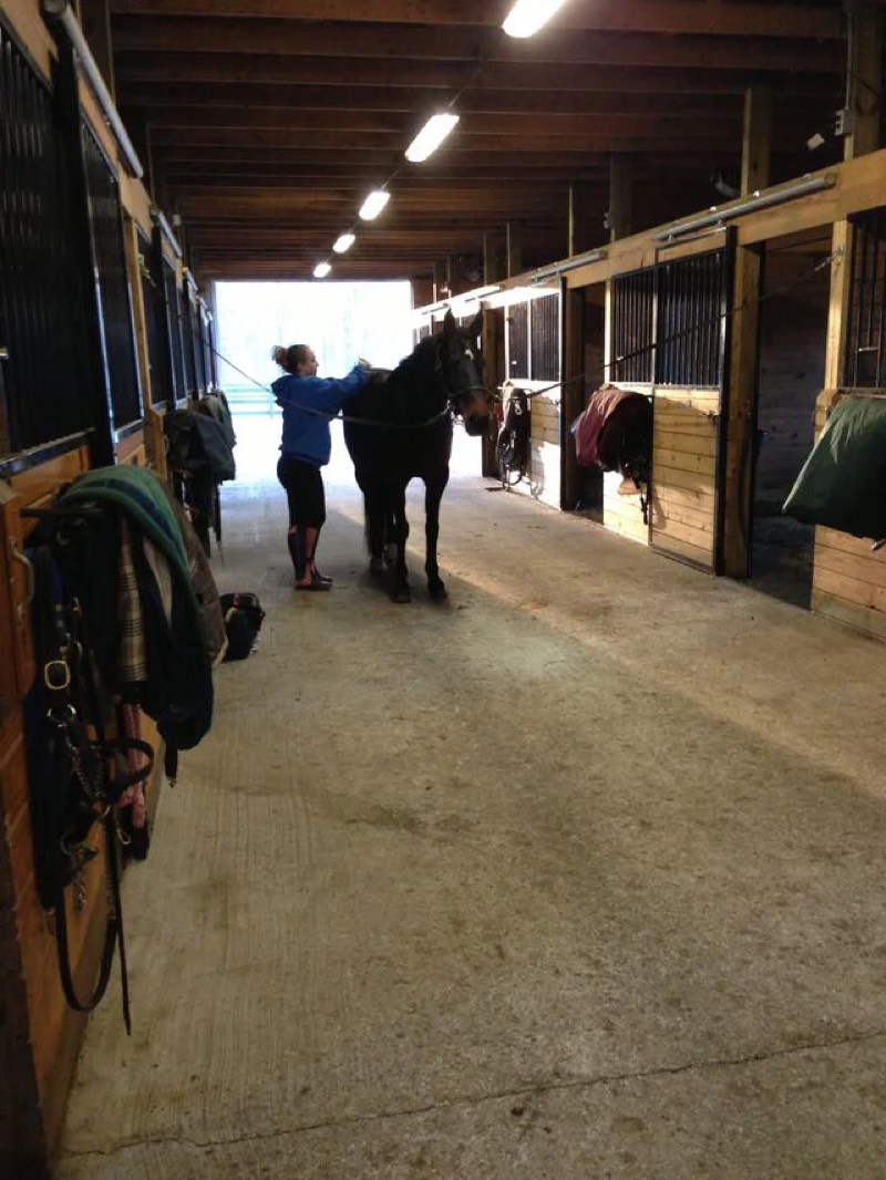 Nimble Creek Farm — horses, barn, and arena in Eastampton, NJ