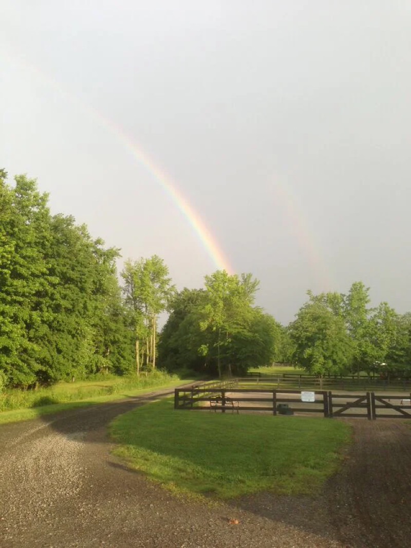 Riders and horses at Nimble Creek Farm
