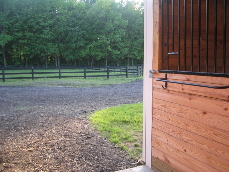 A horse at Nimble Creek Farm