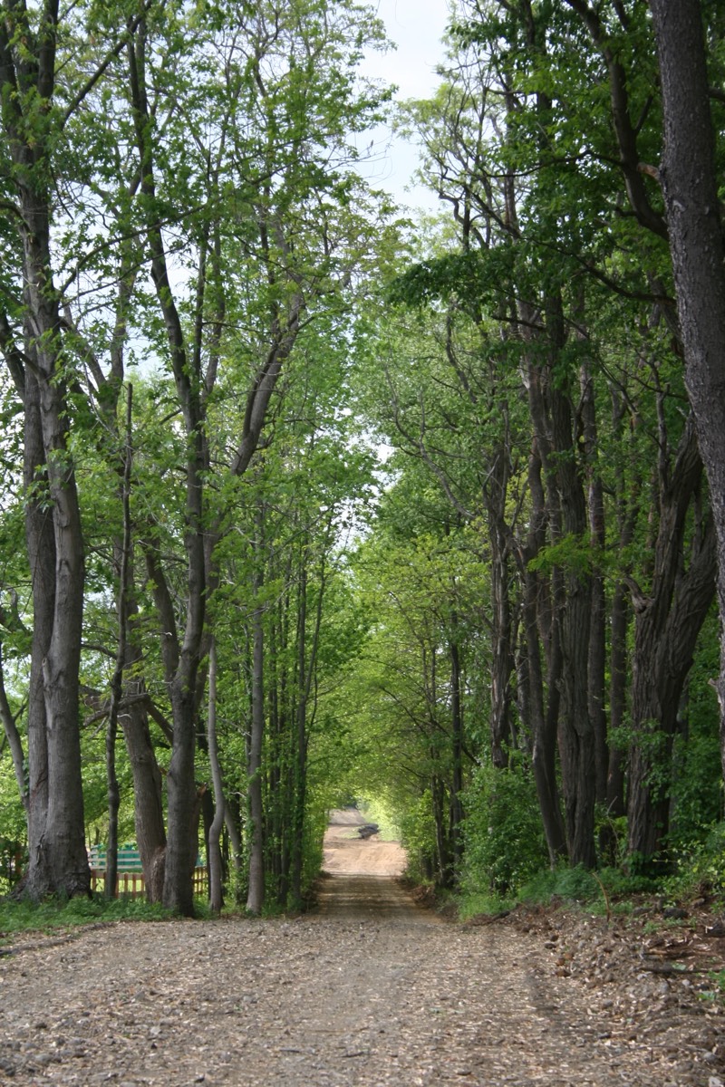 Around the farm at Nimble Creek Farm, Eastampton NJ