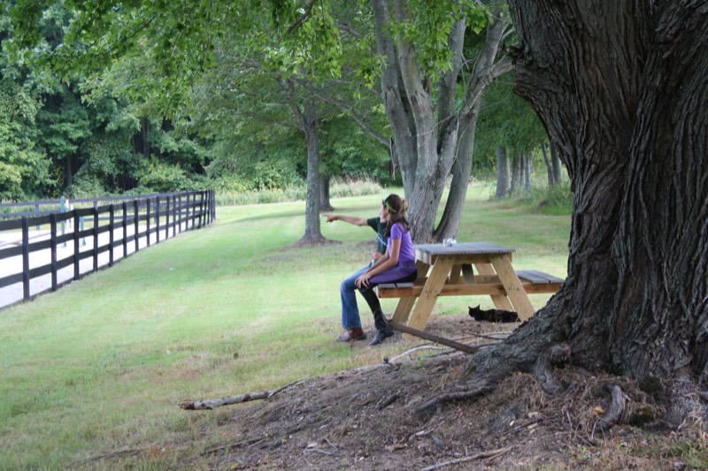 The riding arena at Nimble Creek Farm