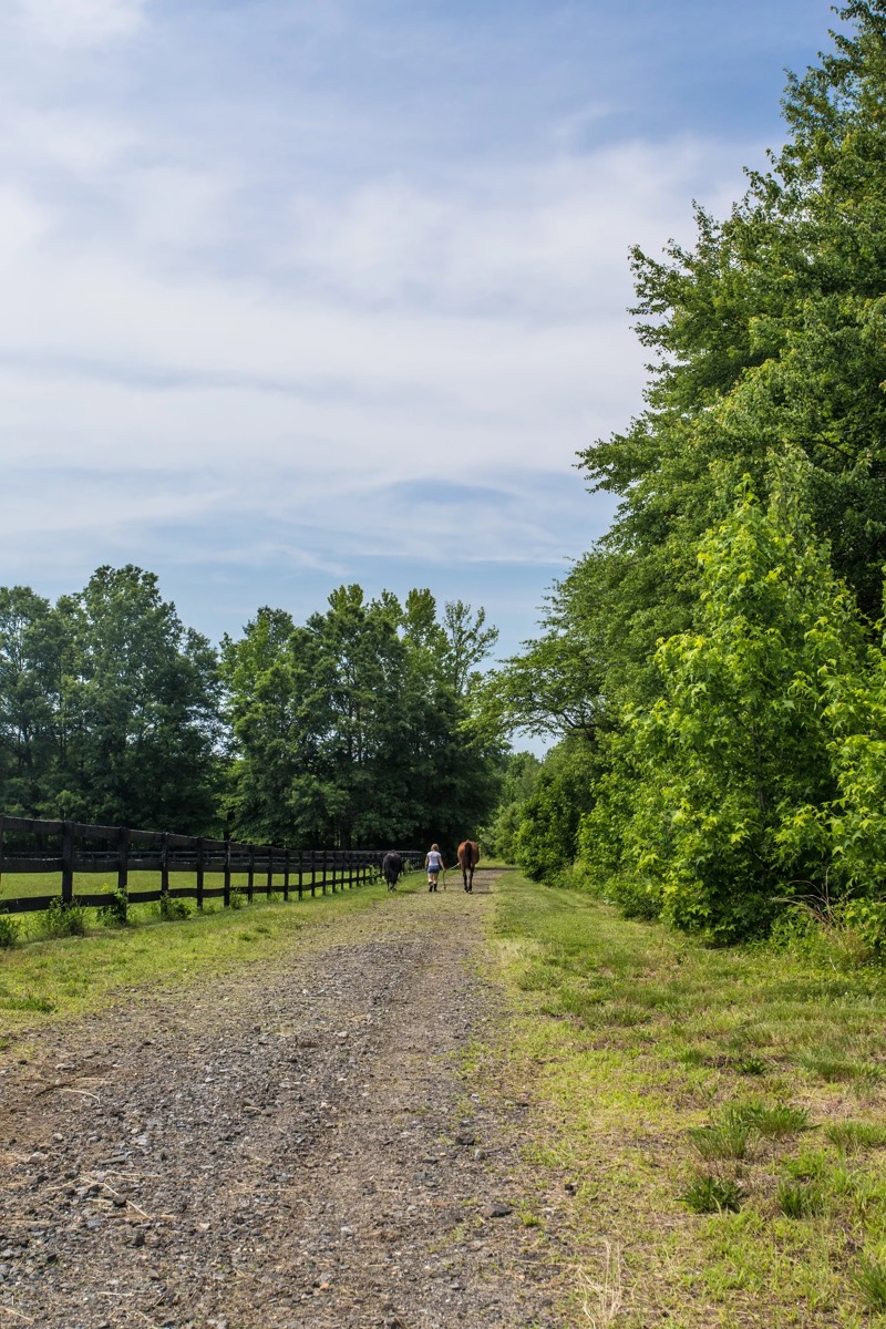 The barn and paddocks at Nimble Creek Farm