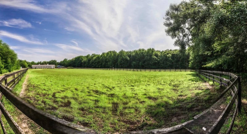 Around the farm at Nimble Creek Farm, Eastampton NJ