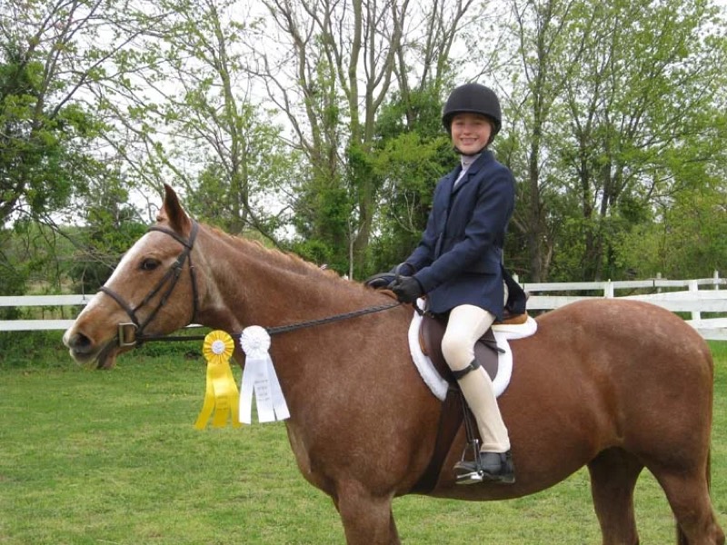 A rider schooling over fences at Nimble Creek Farm