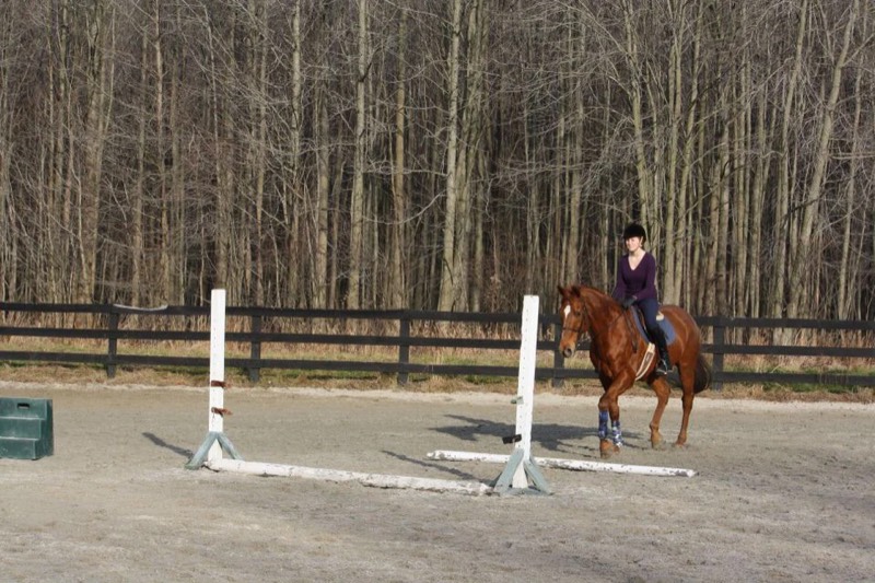 The riding arena at Nimble Creek Farm