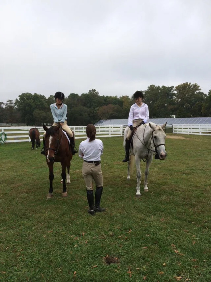The barn and paddocks at Nimble Creek Farm