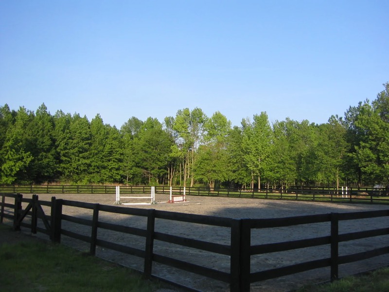 A rider schooling over fences at Nimble Creek Farm