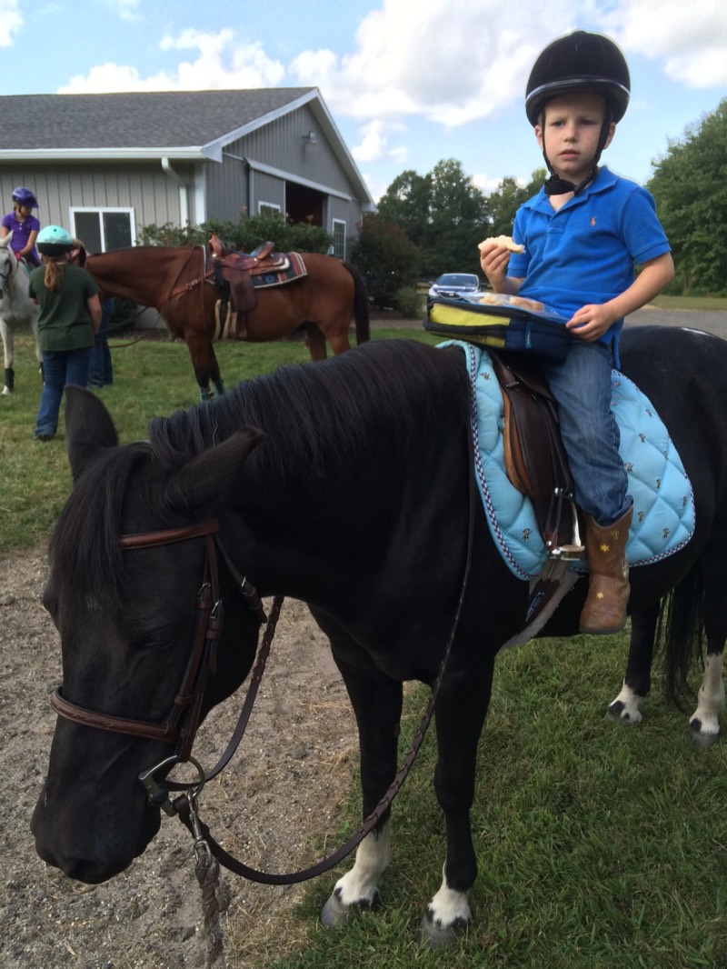 The barn and paddocks at Nimble Creek Farm