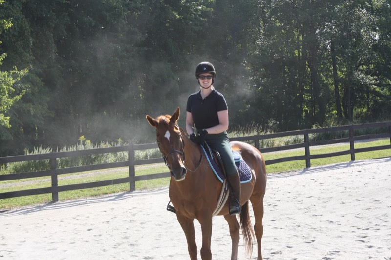 A horse at Nimble Creek Farm