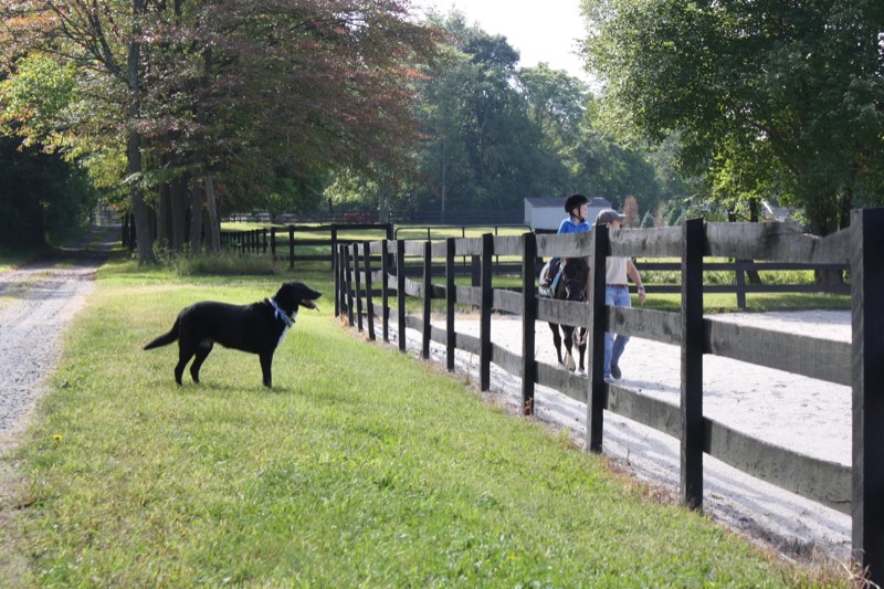 Around the farm at Nimble Creek Farm, Eastampton NJ