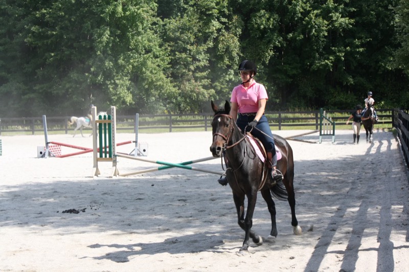 A horse at Nimble Creek Farm